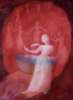 Organwesen - Die Weisheit deines Körpers Gebärmutter nach Ewald Kliegel Bilder Anne Heng (c)