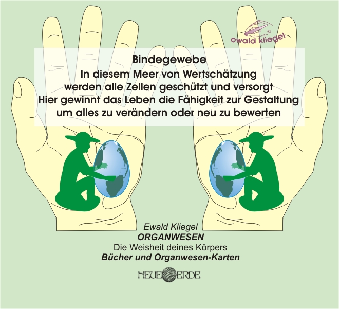 ORGANWESEN und ORGANflüstern - Bindegewebe - Ewald Kliegel (c)