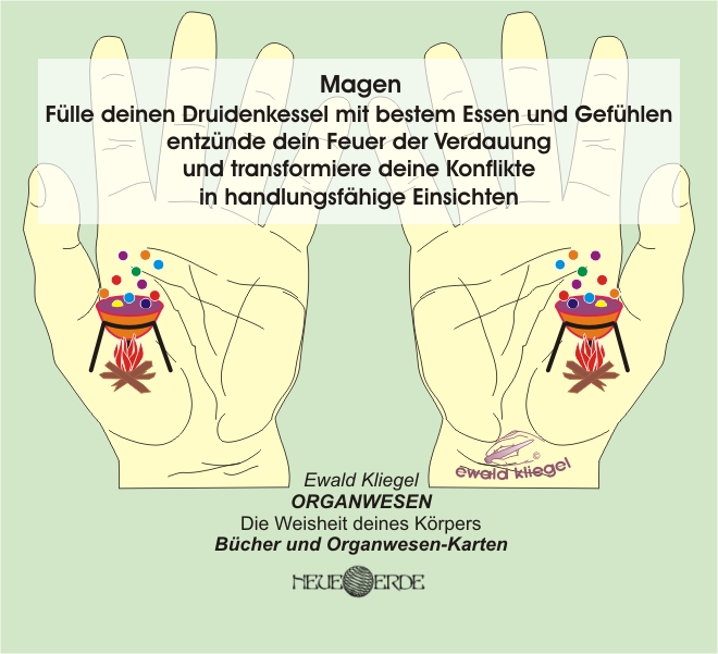 ORGANWESEN und ORGANflüstern - Magen nach Ewald Kliegel (c)