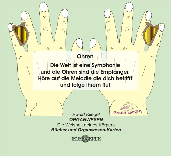 ORGANWESEN und ORGANflüstern - Ohren nach Ewald Kliegel (c)