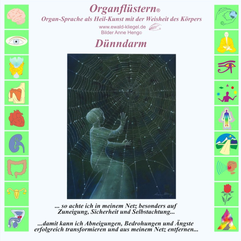 Organfl&uuml;stern Ewald Kliegel - D&uuml;nndarm