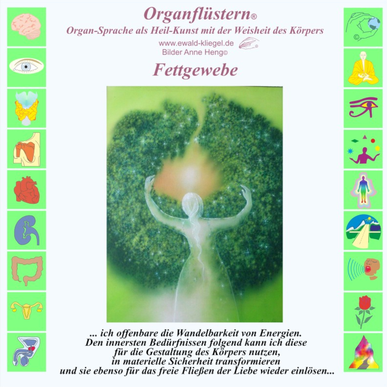 Organfl&uuml;stern Ewald Kliegel - Fettgewebe
