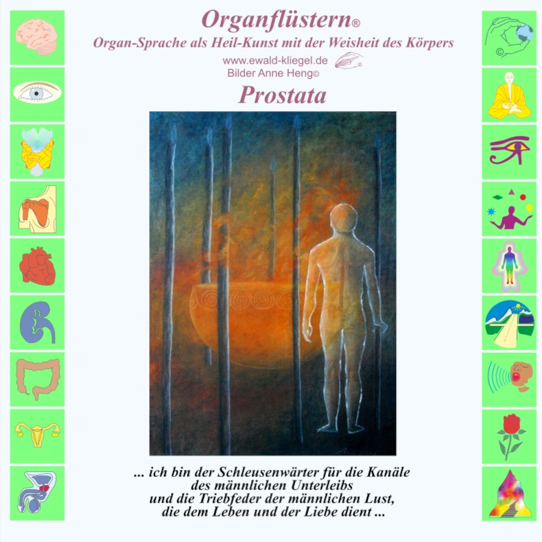 Organfl&uuml;stern Ewald Kliegel - Prostata