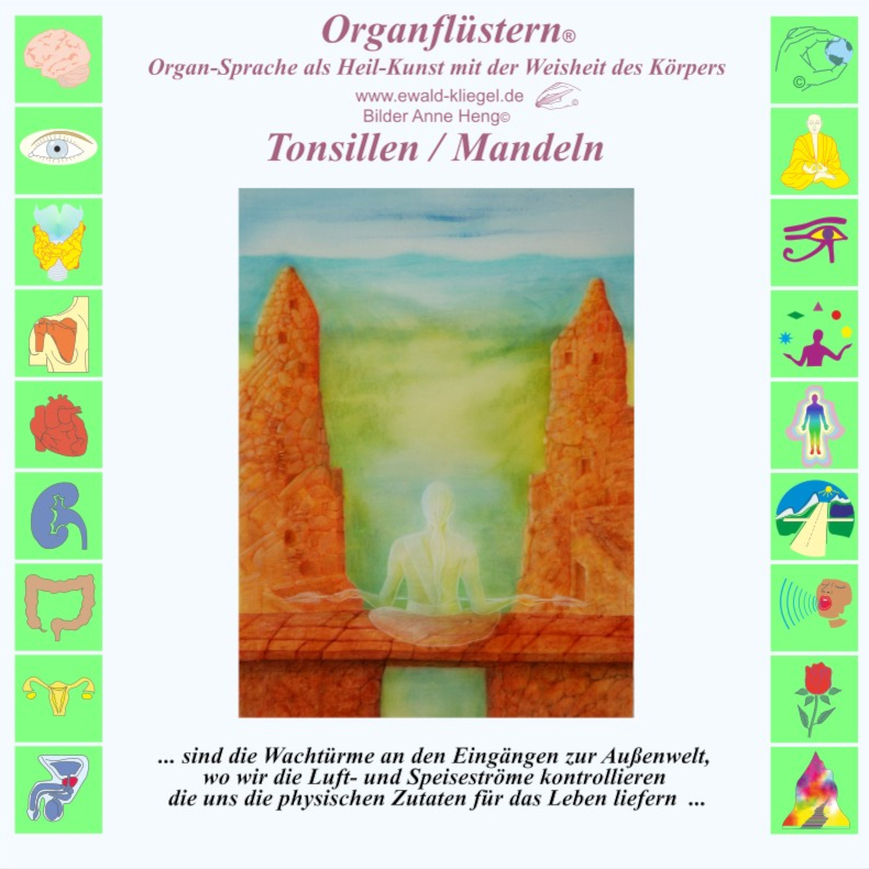 Organfl&uuml;stern Ewald Kliegel - Tonsillen / Mandeln