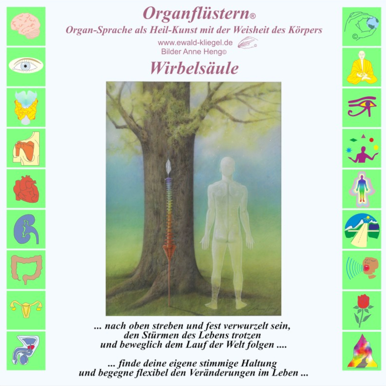 Organfl&uuml;stern Ewald Kliegel - Wirbels&auml;ule