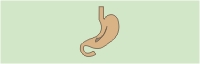 Organfl&uuml;stern Ewald Kliegel - Magen